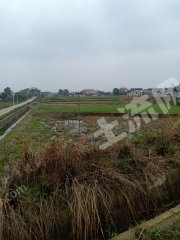 湘潭湘乡市1000亩水田经营权出租