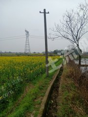 湘潭湘乡市1000亩水田经营权出租