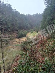 湘潭湘乡市70亩畜牧养殖用地经营权出租