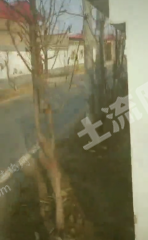 保定涿州市1000平米宅基地使用權(quán)出租