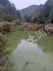 湘潭湘乡市100亩畜牧养殖用地经营权出租