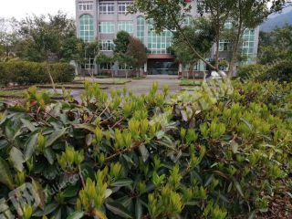 重慶3000平米度假山莊使用權(quán)出租