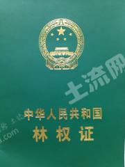 吉林蛟河市180亩综合养殖用地经营权转让