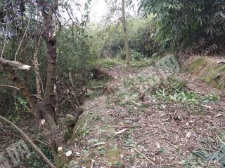 重庆渝北区150平米宅基地带1亩土地使用权出租