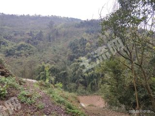 重慶渝北區(qū)75平米宅基地使用權(quán)出租