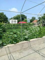 四平铁西区2000平米农家庭院出租