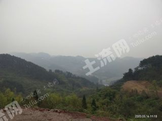 重庆渝北区225平米宅基地带2亩土地使用权出租