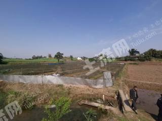 泸州江阳区 25亩 水产养殖用地 转让