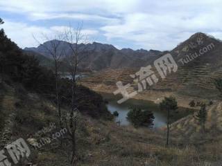 唐山迁西县 2000亩 有林地 经营权转让