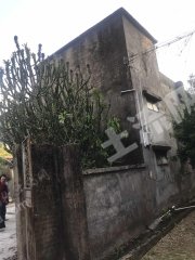 广东/惠州/惠东县150平农房带5亩果园出租