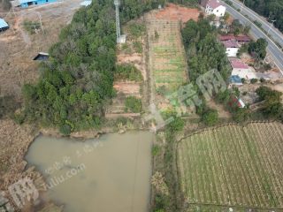 永州  零陵區(qū) 3330平米 宅基地 使用權出租