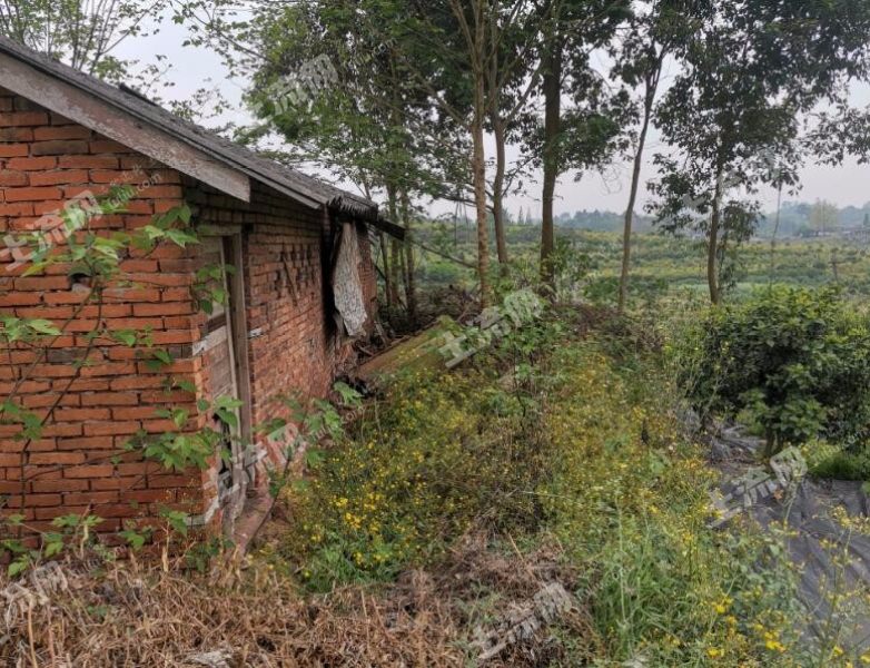 新津永商镇510平宅基地加两分耕地长租