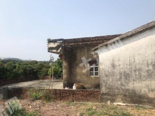 广东/惠州/惠东县增光120平米农房带果园出租