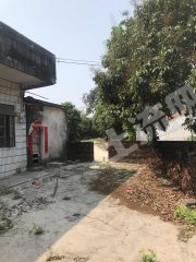 广东/惠州/惠东县增光100平米农家庭院出租