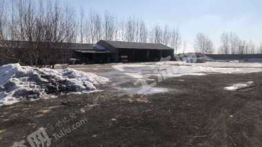 松原宁江区15亩畜牧养殖用地经营权转让