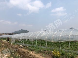 文山广南县 1000亩 水浇地 经营权出租