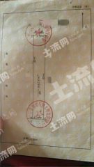 海南定安县 337平方米 农村宅基地 使用权出租