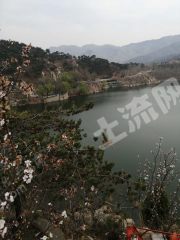 济南历城区 30亩 荒山 使用权出租