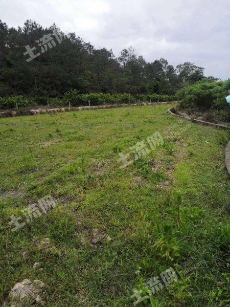 广东/惠州/惠东县20亩水田出租 - 700元/亩/年 - 惠东县土流网