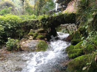 大邑花水湾山300余平米小溪旁农房整体转让