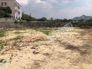 白花鎮(zhèn)99平米農(nóng)村宅基地使用權(quán)流轉(zhuǎn)