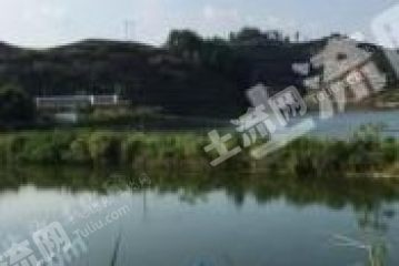 韶关始兴县 1354亩 农场 经营权转让