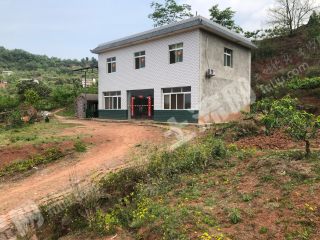 龙泉驿 200余平米框架新房带1.5亩土地 长期使用权出租