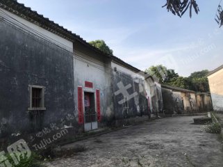 广东/惠州/惠东县白花100平米农家庭院出租