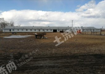 绥化绥棱县22.5亩畜牧养殖用地经营权转让