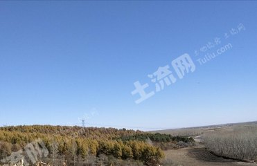 绥化北林区50亩荒山出租