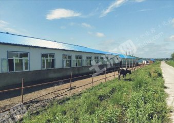 齐齐哈尔拜泉县15亩畜牧养殖用地经营权转让