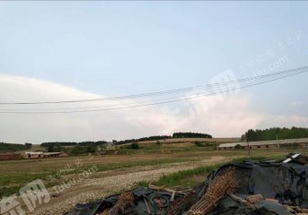 鸡西恒山区30亩畜牧养殖用地经营权转让