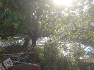 济南  槐荫区 10亩 综合养殖用地 经营权出租