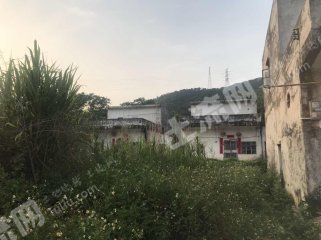 广东/惠州/惠东县白花120平米农家庭院出租