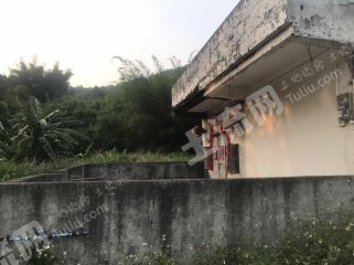 广东/惠州/惠东县白花120平米农家庭院出租