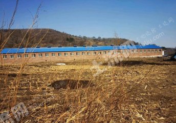长春朝阳区15亩畜牧养殖用地经营权转让