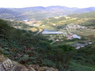 重庆50亩坑塘经营权转让