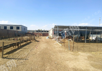 包頭九原區(qū)小白河附近 10畝 宅基地大院使用權(quán)出租