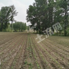 鞍山海城市600平米宅基地使用權(quán)出租