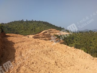 赣州章贡区2700亩果园转让