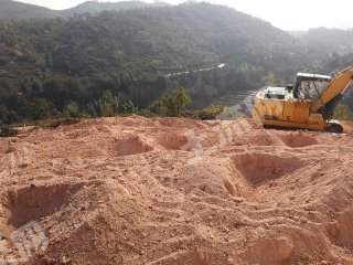 赣州章贡区300亩果园转让