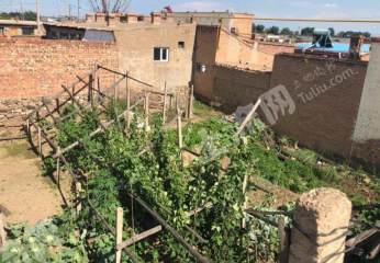 包头东河区莎木佳400平米宅基地大院使用权出租