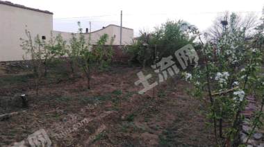 包头东河区 75平方米 农村宅基地 使用权出租