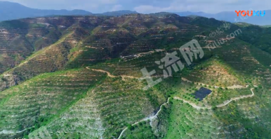 大理云龙县 5000亩 其它林地 经营权出租