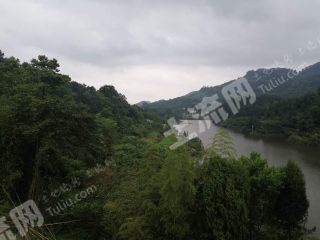 重庆市綦江区金桥镇1000平米农房低价出租