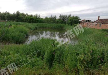 绥化北林区13亩综合养殖用地经营权转让