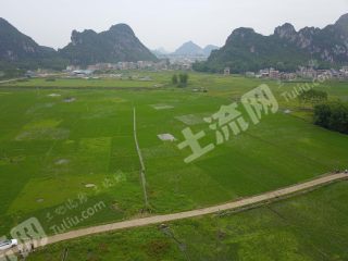 贵港覃塘区140亩水田出租