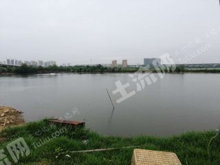武汉江夏区240亩坑塘出租