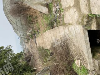重庆永川区70亩水浇地转让