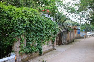 大邑城中林盘院落农房出租